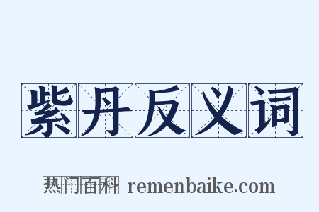 紫丹反义词是什么意思的图片